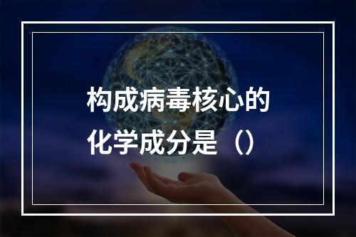 构成病毒核心的化学成分是（）