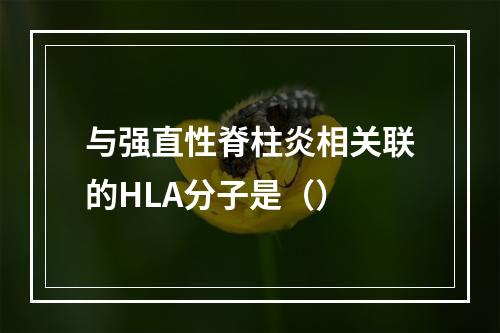 与强直性脊柱炎相关联的HLA分子是（）