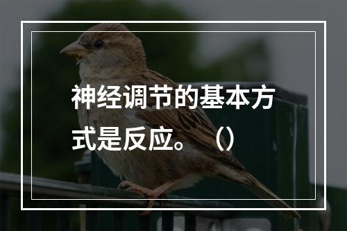 神经调节的基本方式是反应。（）