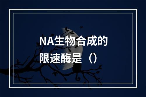 NA生物合成的限速酶是（）