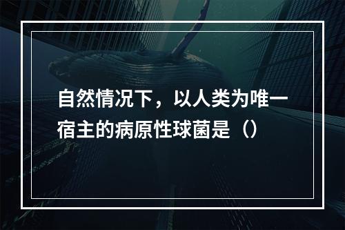 自然情况下，以人类为唯一宿主的病原性球菌是（）