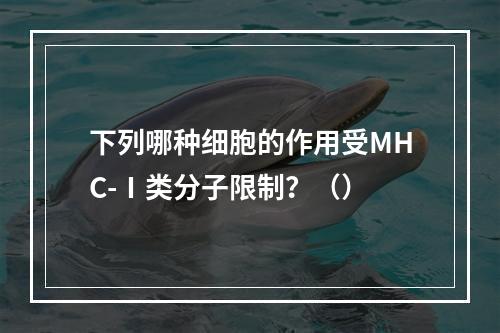 下列哪种细胞的作用受MHC-Ⅰ类分子限制？（）