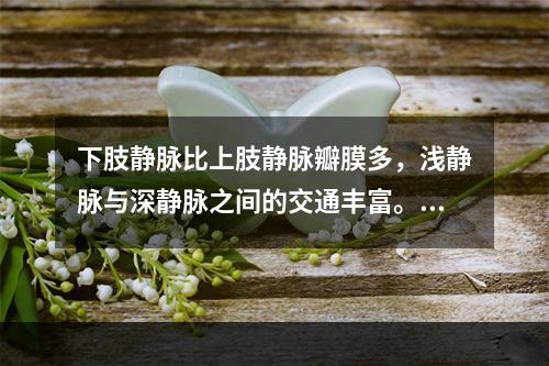 下肢静脉比上肢静脉瓣膜多，浅静脉与深静脉之间的交通丰富。（）