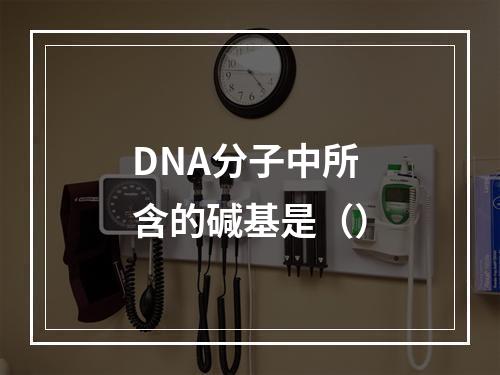 DNA分子中所含的碱基是（）