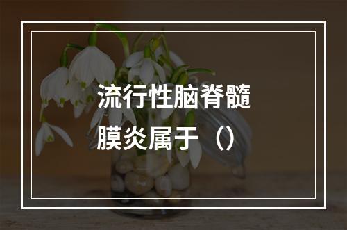 流行性脑脊髓膜炎属于（）