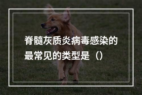 脊髓灰质炎病毒感染的最常见的类型是（）