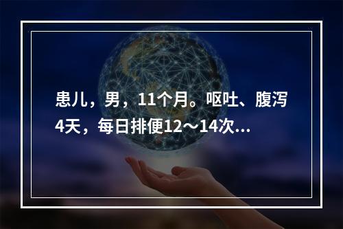 患儿，男，11个月。呕吐、腹泻4天，每日排便12～14次，稀