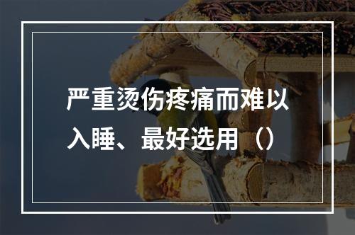 严重烫伤疼痛而难以入睡、最好选用（）