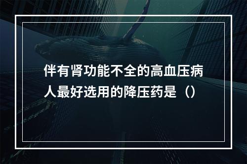 伴有肾功能不全的高血压病人最好选用的降压药是（）