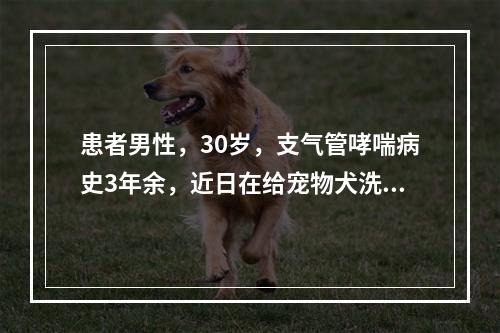 患者男性，30岁，支气管哮喘病史3年余，近日在给宠物犬洗澡时