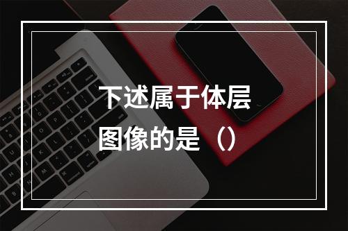 下述属于体层图像的是（）