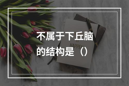 不属于下丘脑的结构是（）