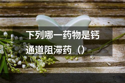 下列哪一药物是钙通道阻滞药（）