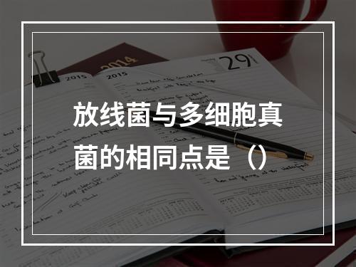 放线菌与多细胞真菌的相同点是（）