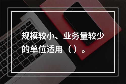 规模较小、业务量较少的单位适用（ ）。