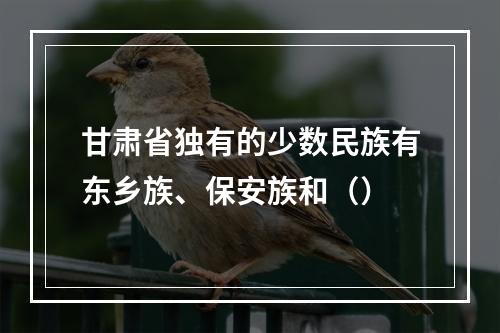 甘肃省独有的少数民族有东乡族、保安族和（）