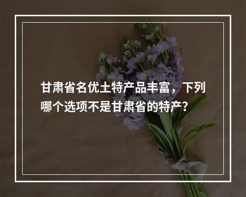 甘肃省名优土特产品丰富，下列哪个选项不是甘肃省的特产？