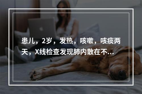 患儿，2岁，发热，咳嗽，咳痰两天，X线检查发现肺内散在不规则