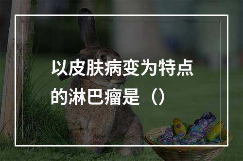 以皮肤病变为特点的淋巴瘤是（）