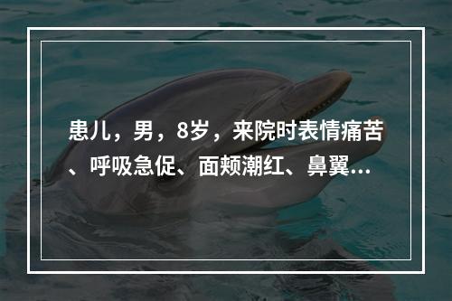 患儿，男，8岁，来院时表情痛苦、呼吸急促、面颊潮红、鼻翼煽动