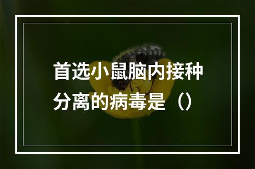 首选小鼠脑内接种分离的病毒是（）