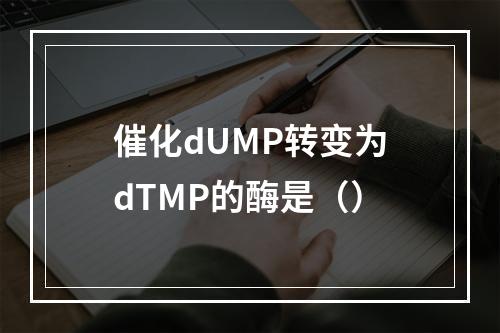 催化dUMP转变为dTMP的酶是（）