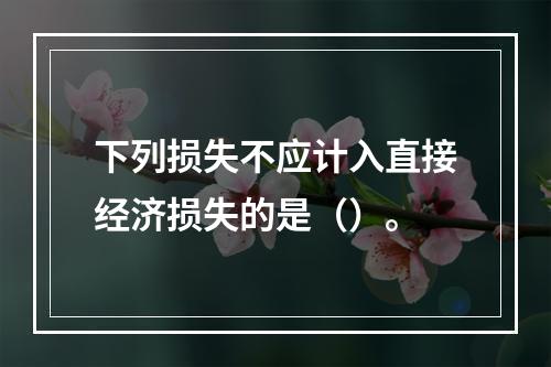 下列损失不应计入直接经济损失的是（）。