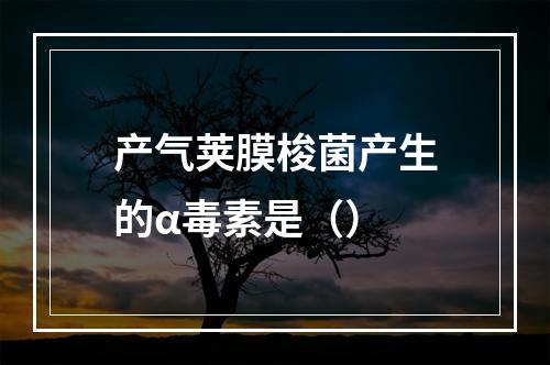 产气荚膜梭菌产生的α毒素是（）