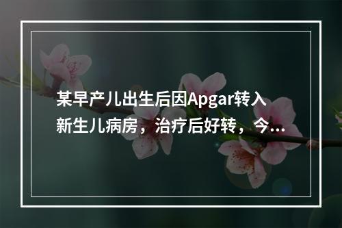 某早产儿出生后因Apgar转入新生儿病房，治疗后好转，今日医