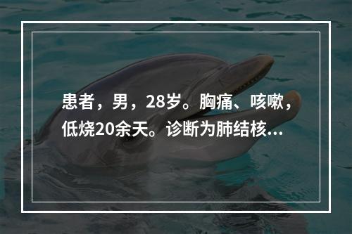 患者，男，28岁。胸痛、咳嗽，低烧20余天。诊断为肺结核而住