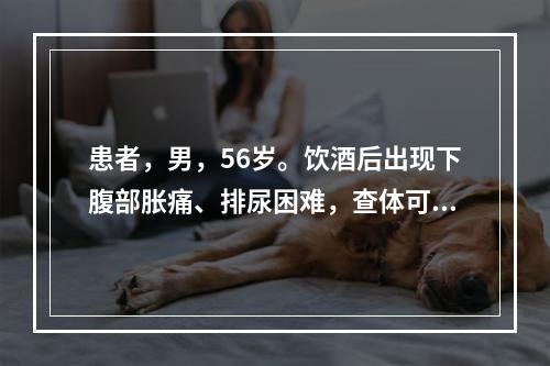 患者，男，56岁。饮酒后出现下腹部胀痛、排尿困难，查体可见耻