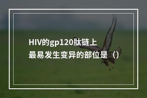 HIV的gp120肽链上最易发生变异的部位是（）