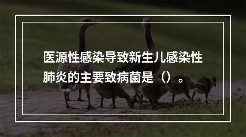 医源性感染导致新生儿感染性肺炎的主要致病菌是（）。