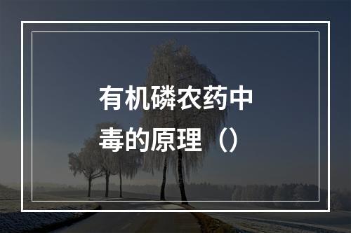 有机磷农药中毒的原理（）