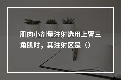 肌肉小剂量注射选用上臂三角肌时，其注射区是（）