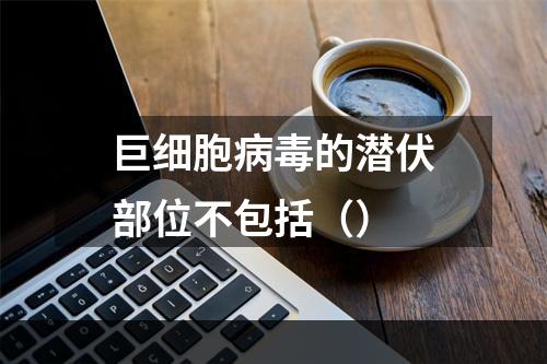 巨细胞病毒的潜伏部位不包括（）