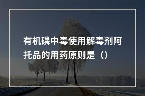 有机磷中毒使用解毒剂阿托品的用药原则是（）