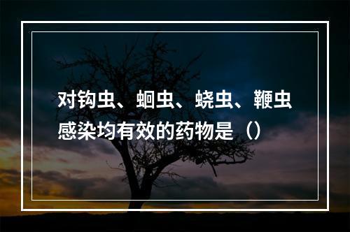 对钩虫、蛔虫、蛲虫、鞭虫感染均有效的药物是（）