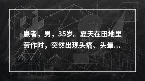 患者，男，35岁。夏天在田地里劳作时，突然出现头痛、头晕、恶