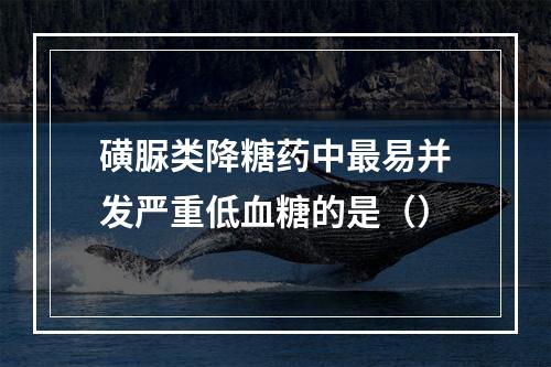 磺脲类降糖药中最易并发严重低血糖的是（）