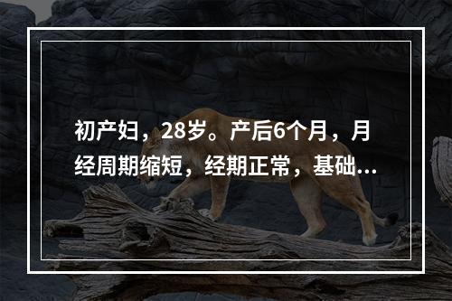 初产妇，28岁。产后6个月，月经周期缩短，经期正常，基础体温