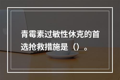 青霉素过敏性休克的首选抢救措施是（）。