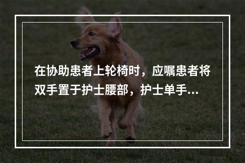 在协助患者上轮椅时，应嘱患者将双手置于护士腰部，护士单手抱患