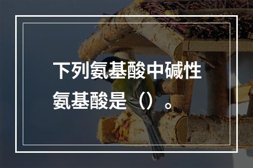 下列氨基酸中碱性氨基酸是（）。