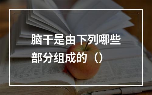 脑干是由下列哪些部分组成的（）