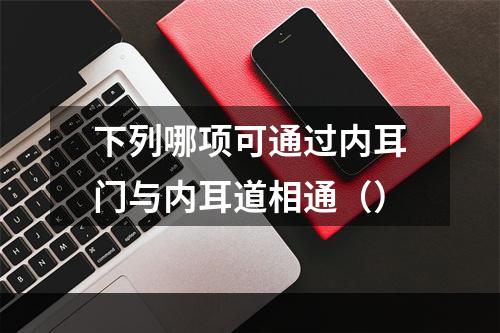 下列哪项可通过内耳门与内耳道相通（）