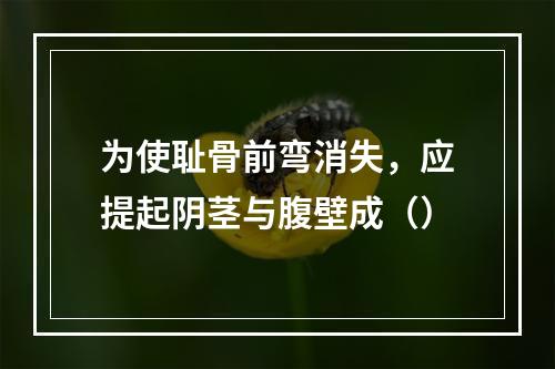 为使耻骨前弯消失，应提起阴茎与腹壁成（）