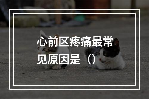 心前区疼痛最常见原因是（）