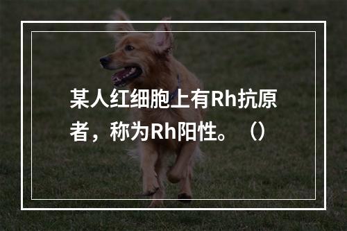 某人红细胞上有Rh抗原者，称为Rh阳性。（）