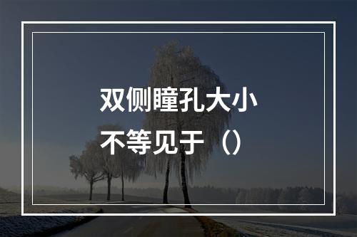 双侧瞳孔大小不等见于（）